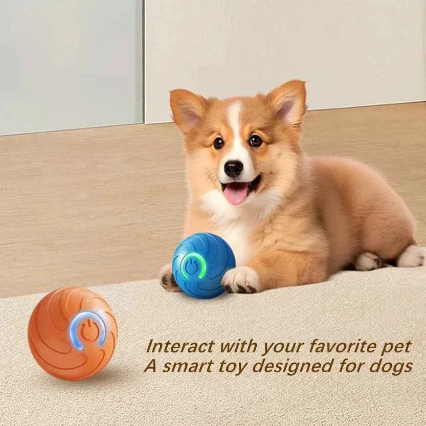 Smart Paws Interactive Dog & Cat Toy Ball - Happy Tails - paws & love