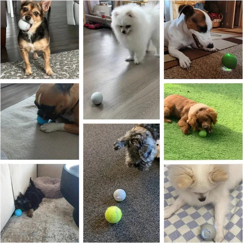 SmartPaws Interactive Dog Toy Ball - Happy Tails - paws & love