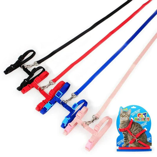 Kitten Adventures Harness & Leash Set - Happy Tails