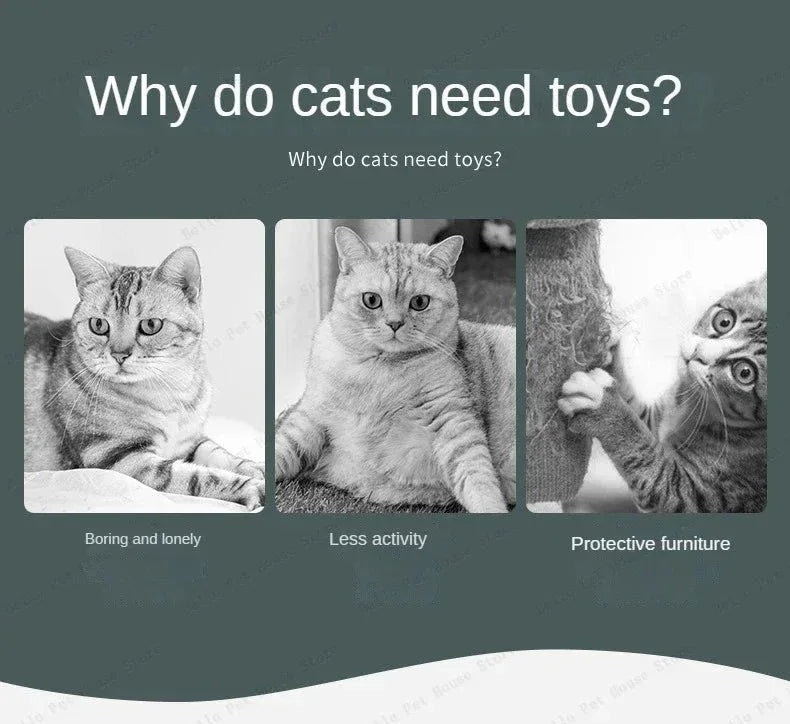 Quirky Duck - Happy Tails - paws & love