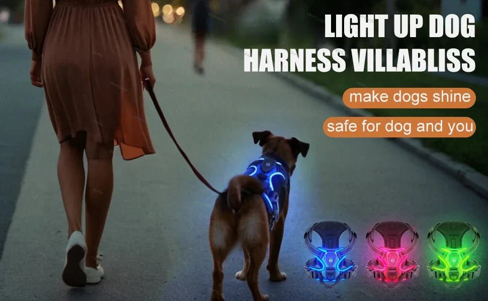 LED Dog Harness - Happy Tails