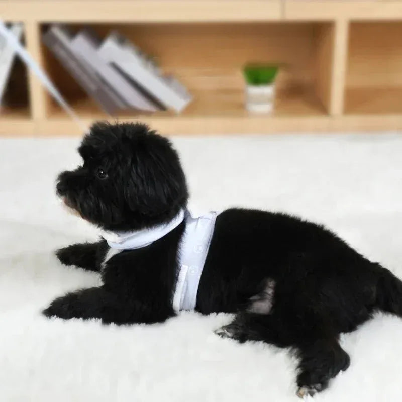 Cat Dog Harness Necklace for Stylish Pet Walks - Happy Tails - paws & love