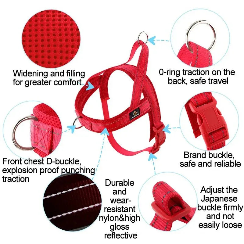 A Small Dog Harness for Comfort and Control - Happy Tails - paws & love