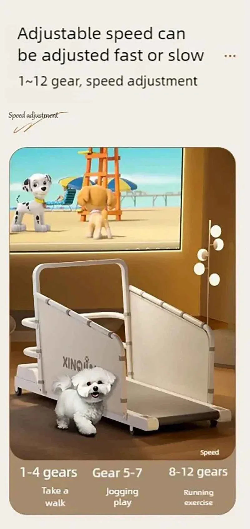 Pet Treadmill for Dogs and Cats - Happy Tails - paws & love