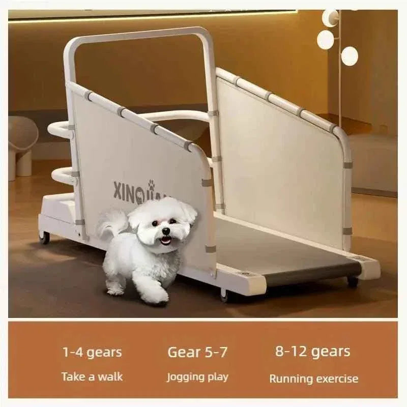 Pet Treadmill for Dogs and Cats - Happy Tails - paws & love