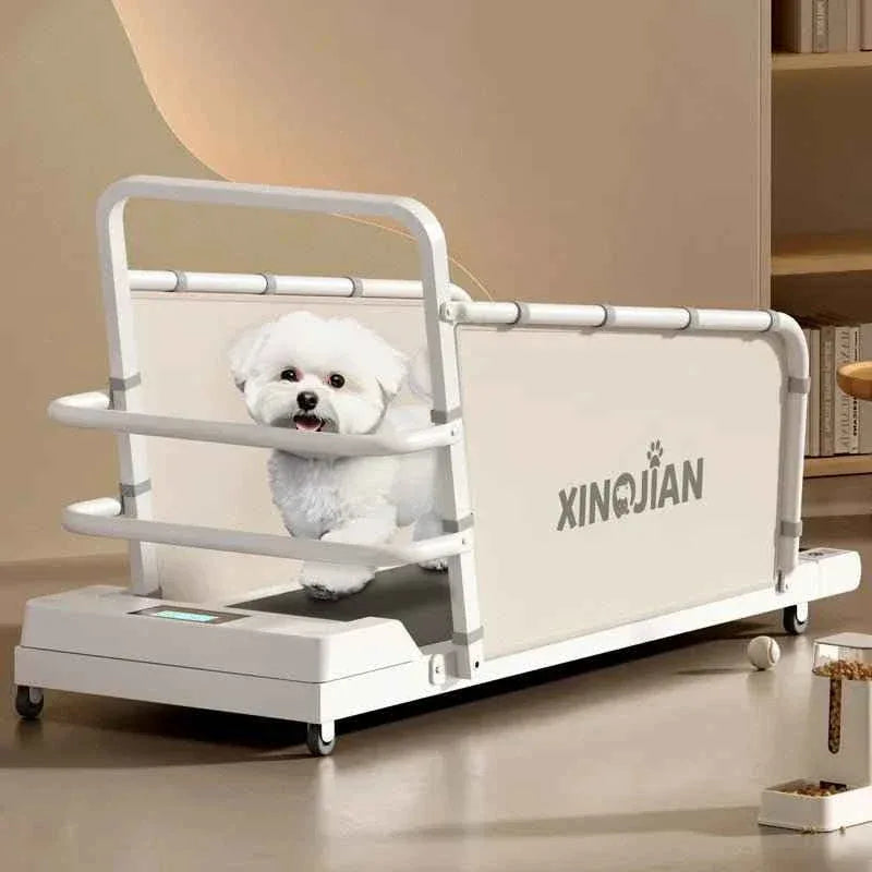 Pet Treadmill for Dogs and Cats - Happy Tails - paws & love