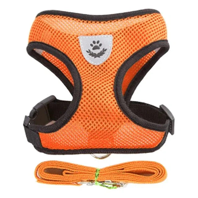 Dog Harness for Small Dogs - Happy Tails