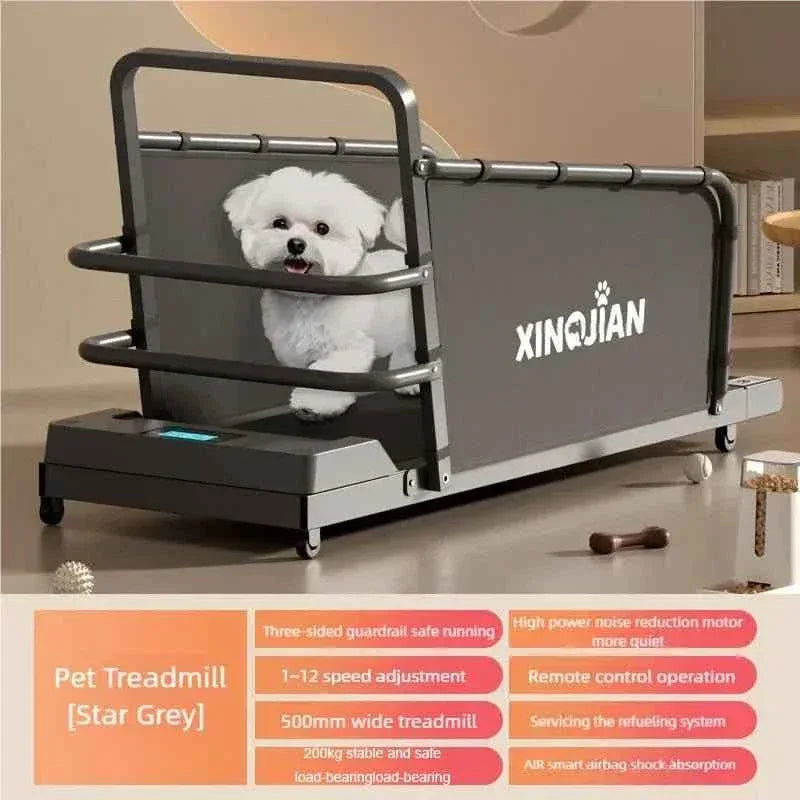 Pet Treadmill for Dogs and Cats - Happy Tails - paws & love