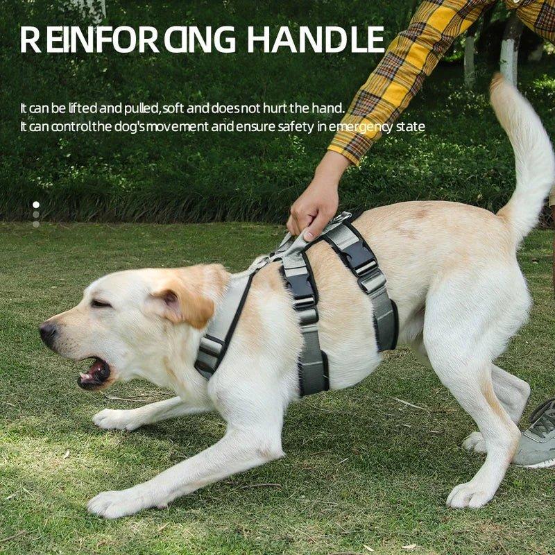 Anti-Breakaway Pet Harness for Easy Control - Happy Tails - paws & love