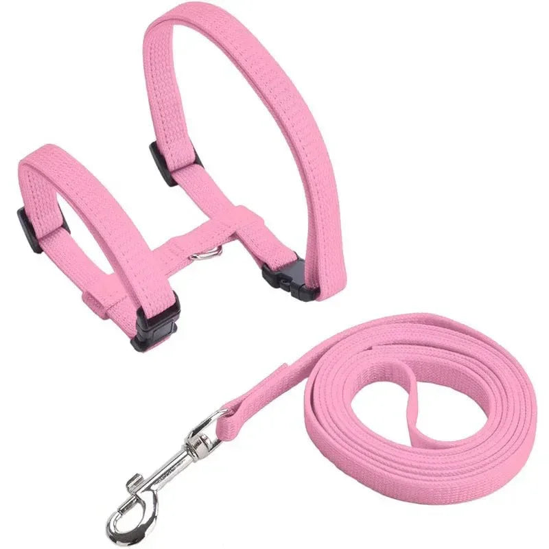 Kitten Adventures Harness & Leash Set - Happy Tails