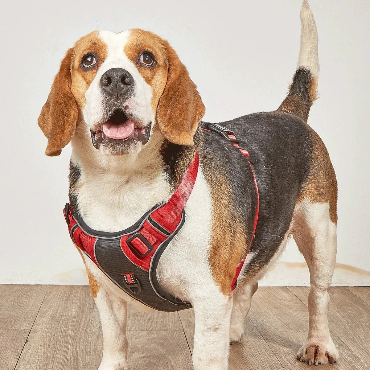 Dog Harness No Pull - Happy Tails