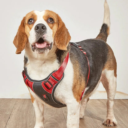 Dog Harness No Pull - Happy Tails