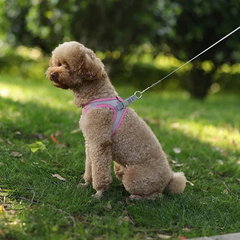 Leash & Harness Set for Small Dogs - Happy Tails