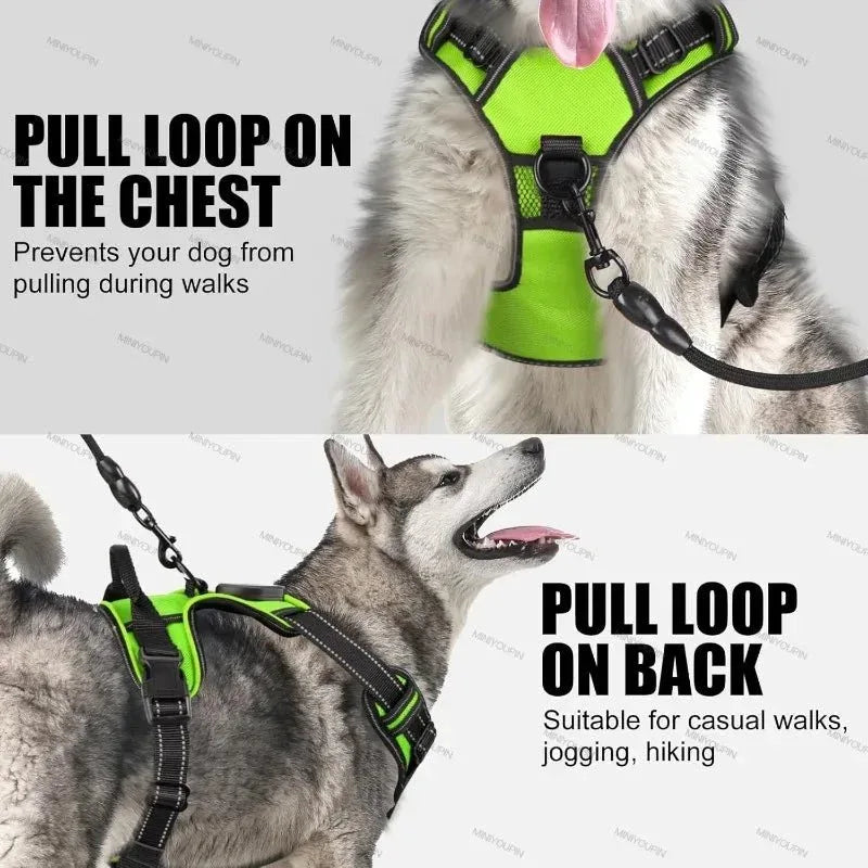 LED Dog Harness - Happy Tails