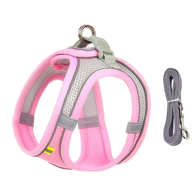 Leash & Harness Set for Small Dogs - Happy Tails