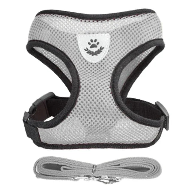 Dog Harness for Small Dogs - Happy Tails