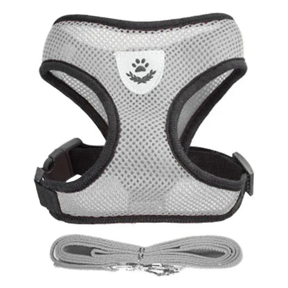 Dog Harness for Small Dogs - Happy Tails