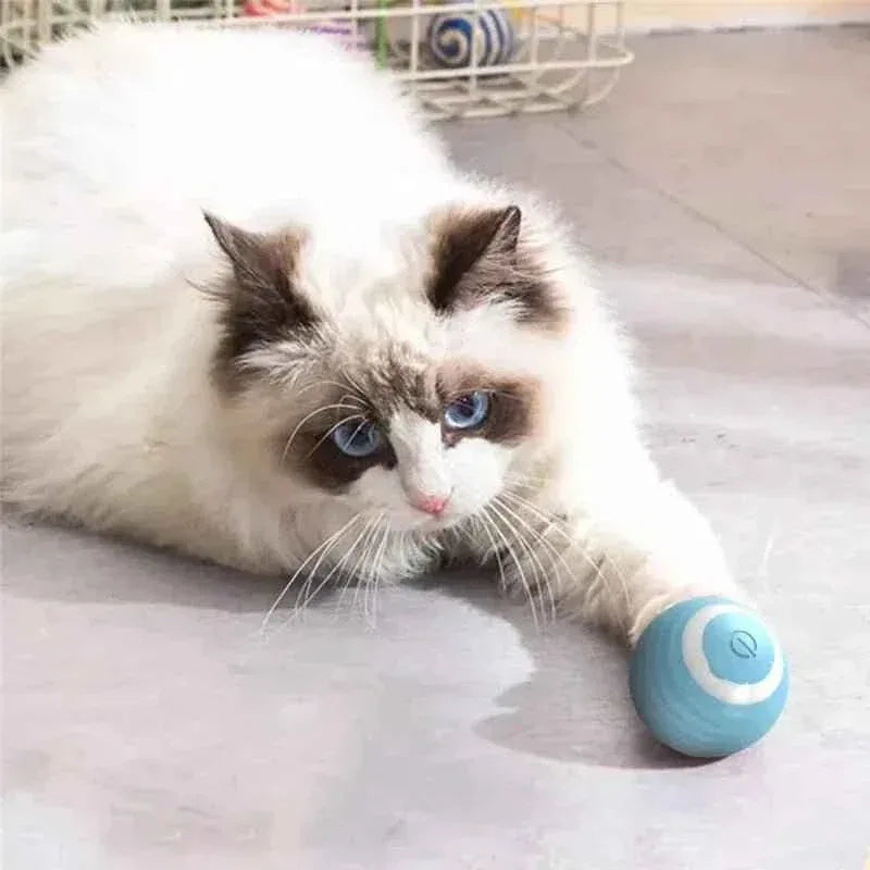 Self-moving Electric Cat Ball Toy - Happy Tails