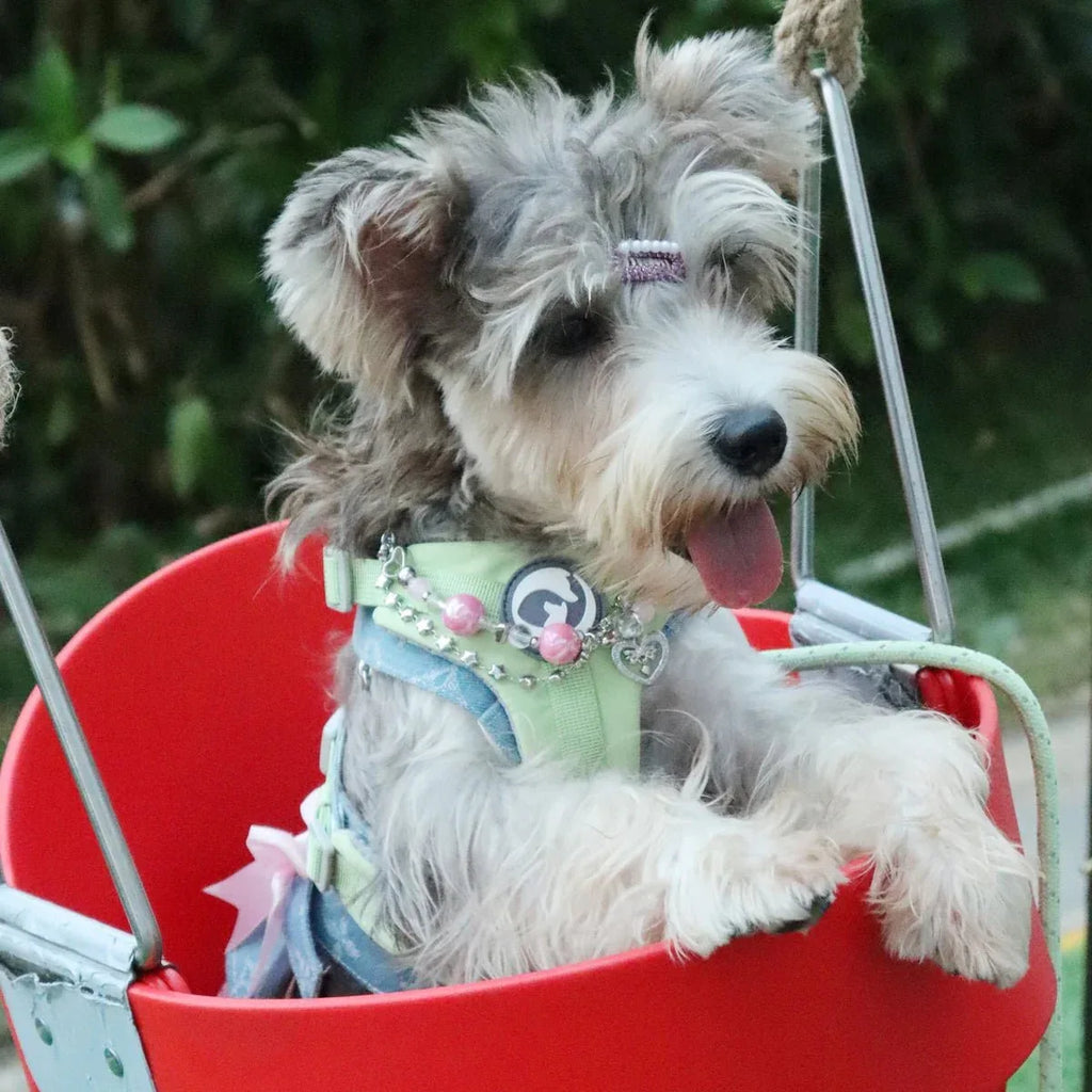 Adjustable Pet Harness - Happy Tails - paws & love