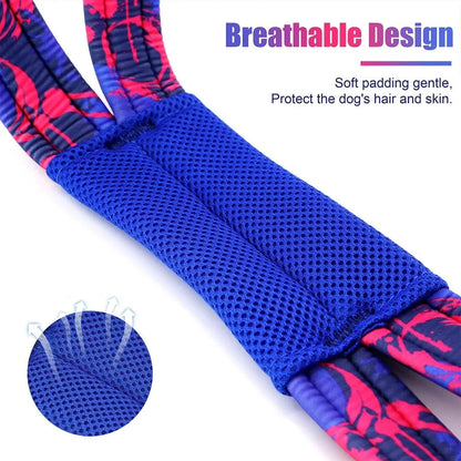 Dog Sledding Harness - Happy Tails