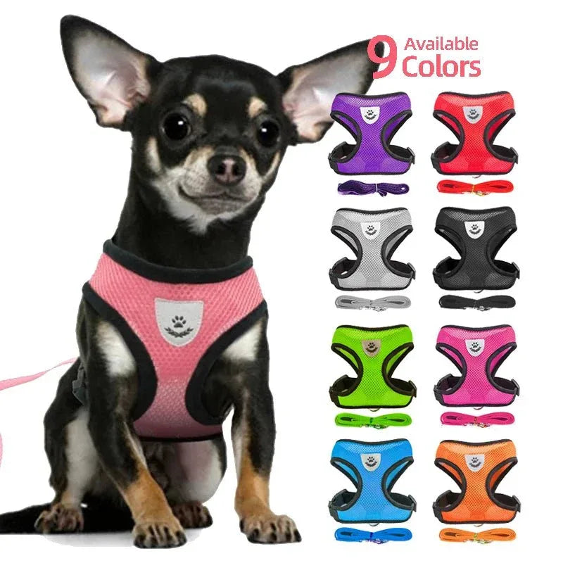 Dog Harness for Small Dogs - Happy Tails