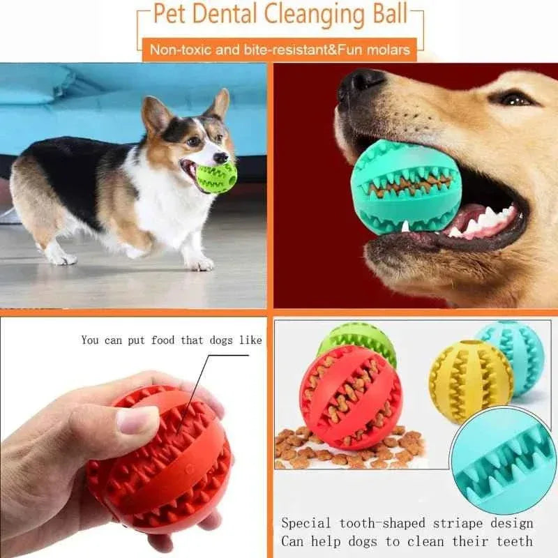 Interactive Dog Toy Ball for Dental - Happy Tails - paws & love