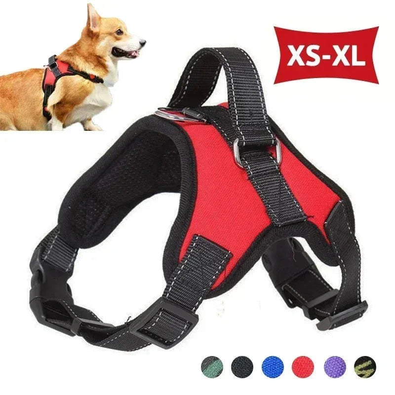 Saddle Dog Harness - Happy Tails