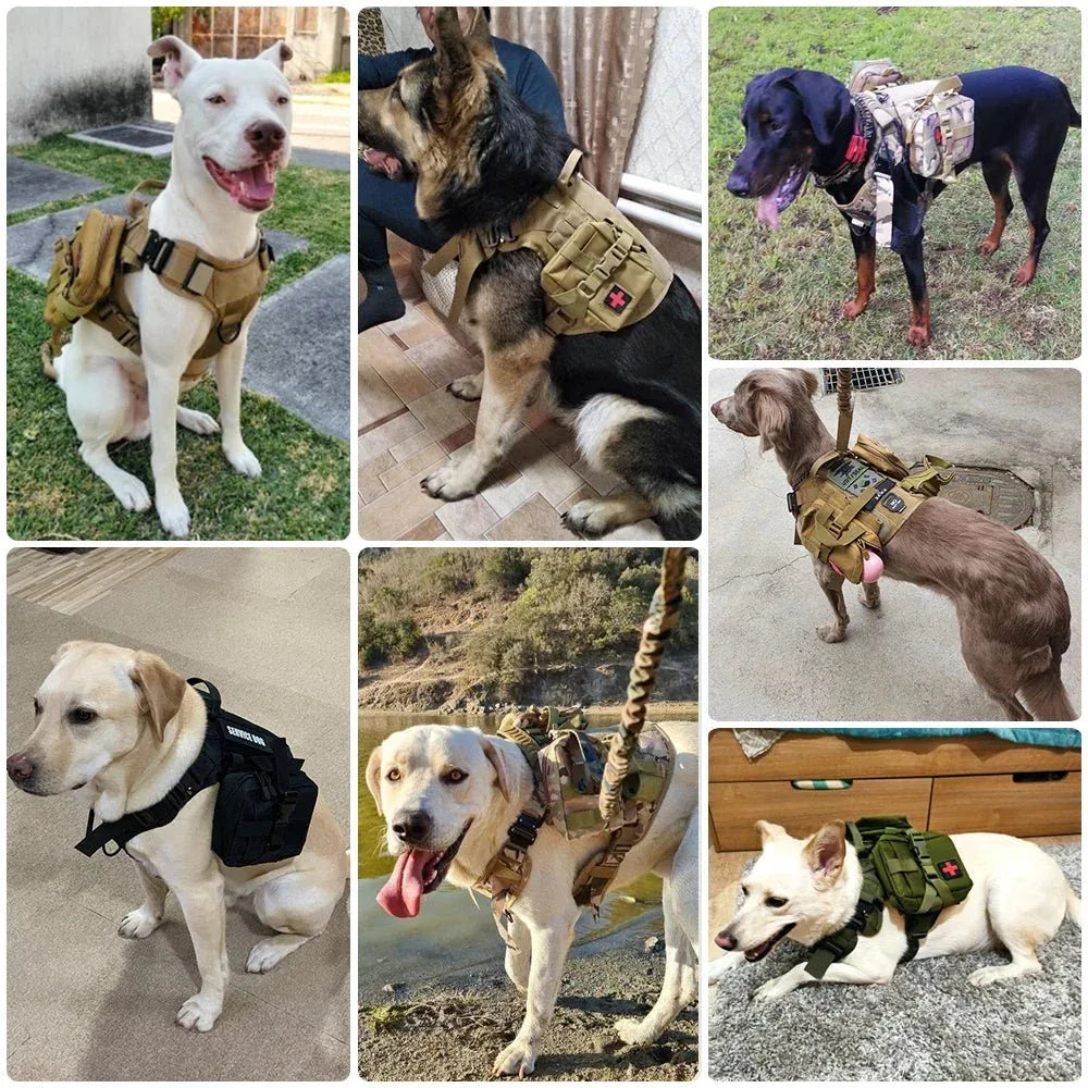 Military Dog Harness for Training - Happy Tails