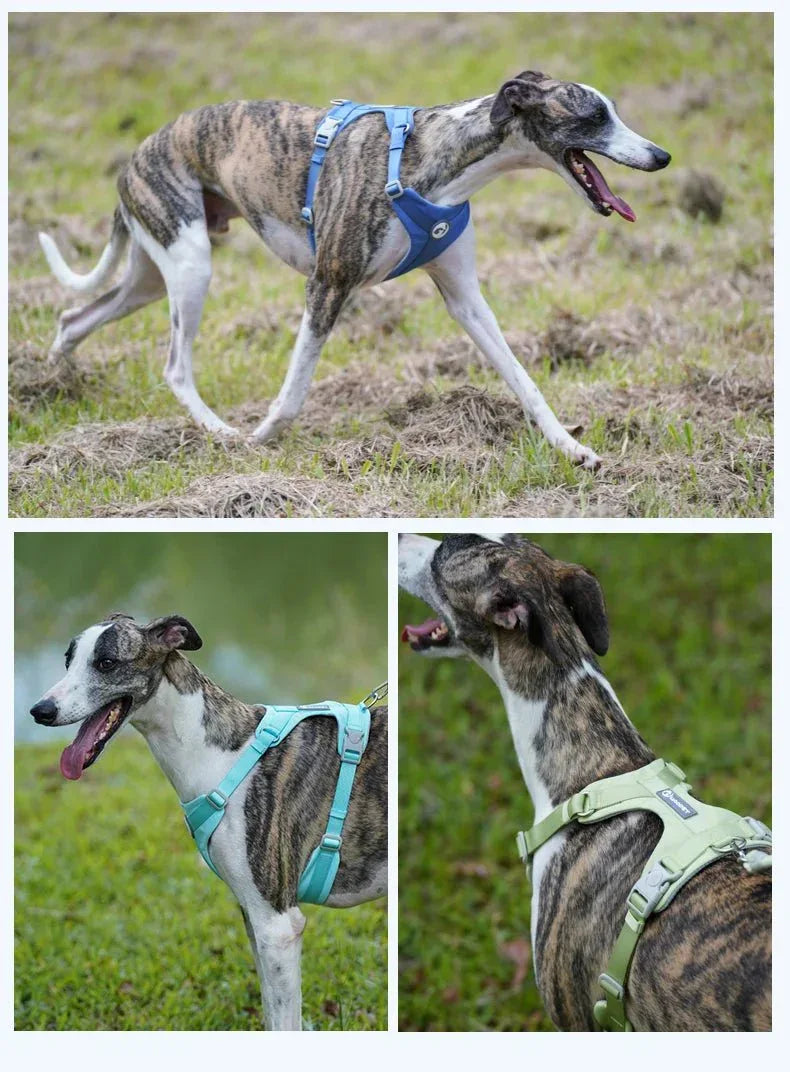 Adjustable Pet Harness - Happy Tails - paws & love