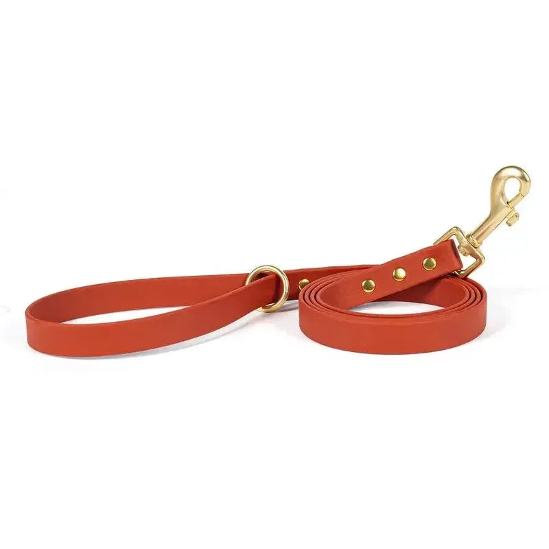 Dog Leash - Happy Tails - paws & love