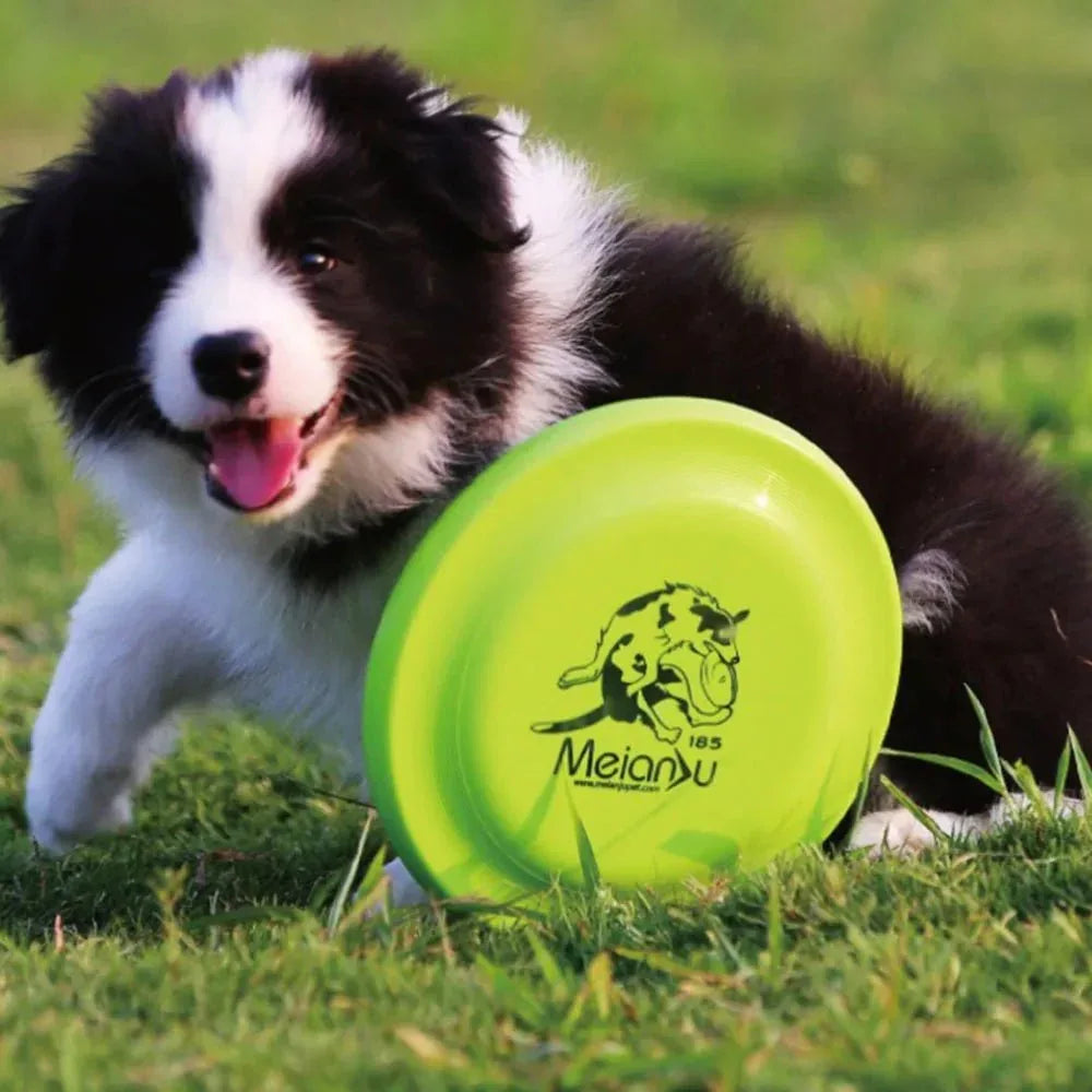 Dog Training Disc - Happy Tails - paws & love