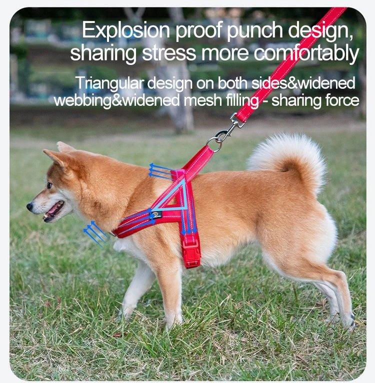 A Small Dog Harness for Comfort and Control - Happy Tails - paws & love