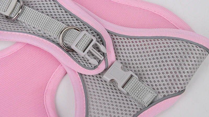 Leash & Harness Set for Small Dogs - Happy Tails