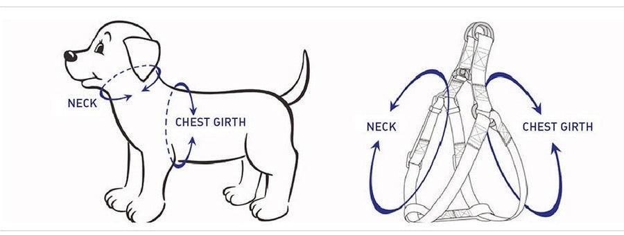 Floral Elegance Set - Happy Tails