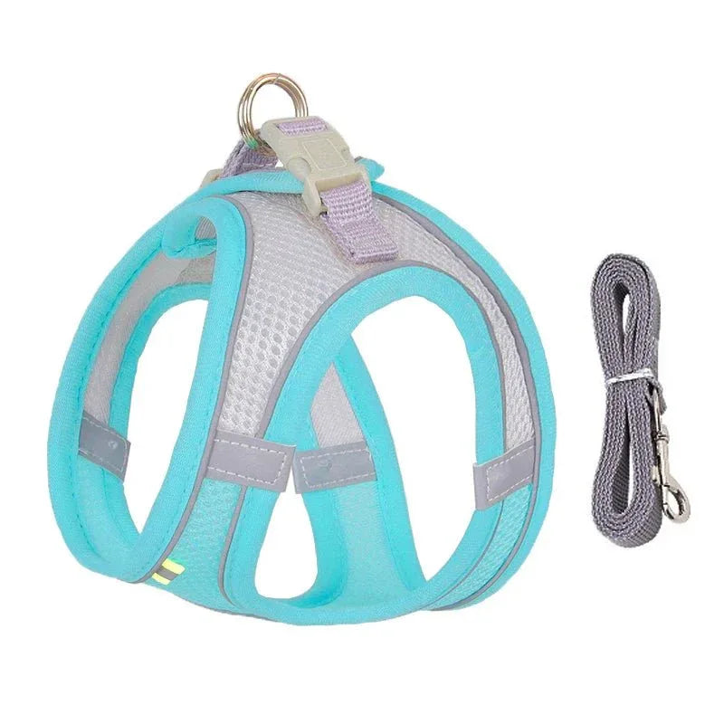 Leash & Harness Set for Small Dogs - Happy Tails
