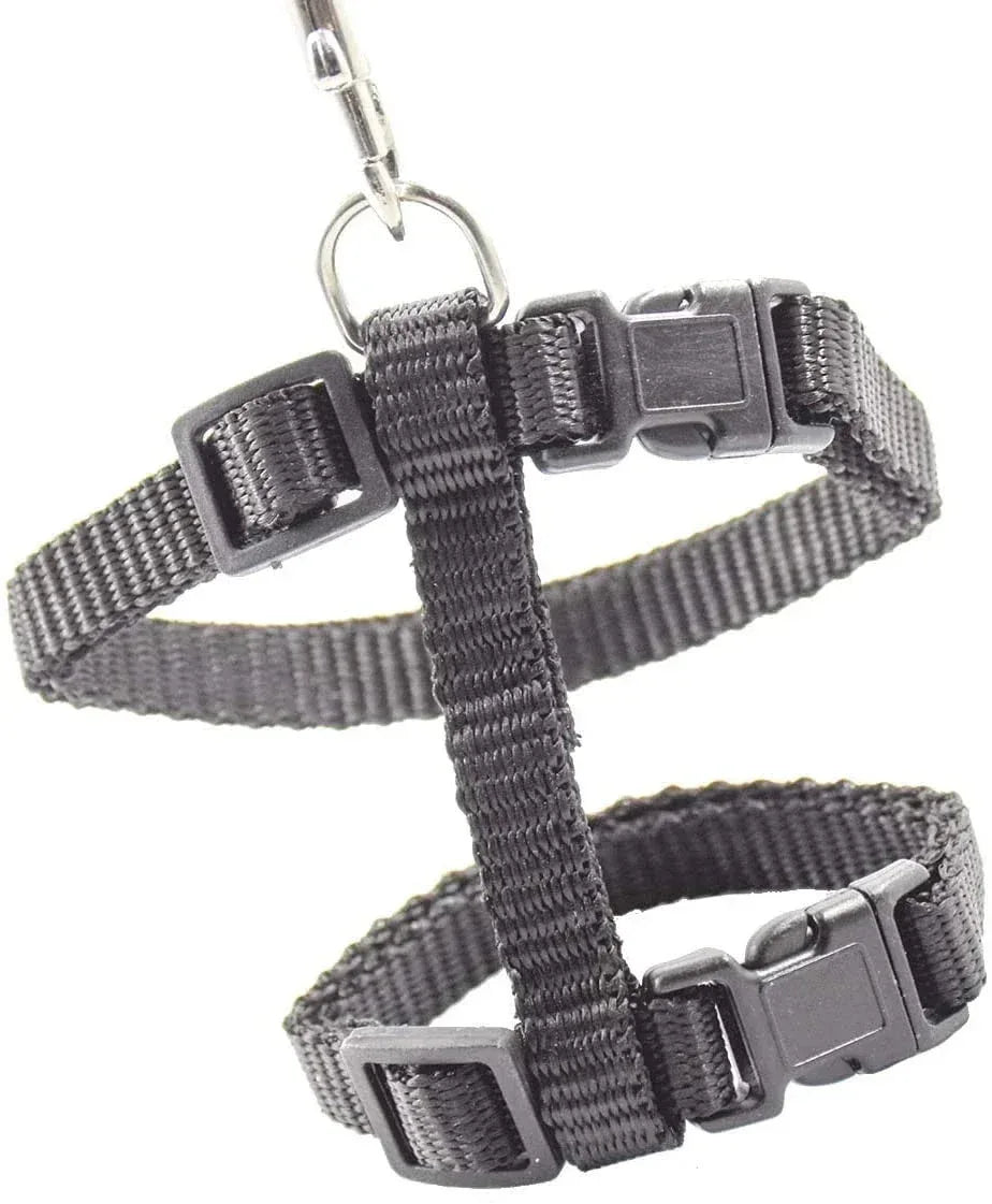 Kitten Adventures Harness & Leash Set - Happy Tails