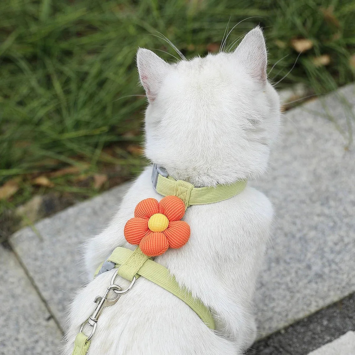 Cat Harness - Ultimate Comfort - Happy Tails - paws & love