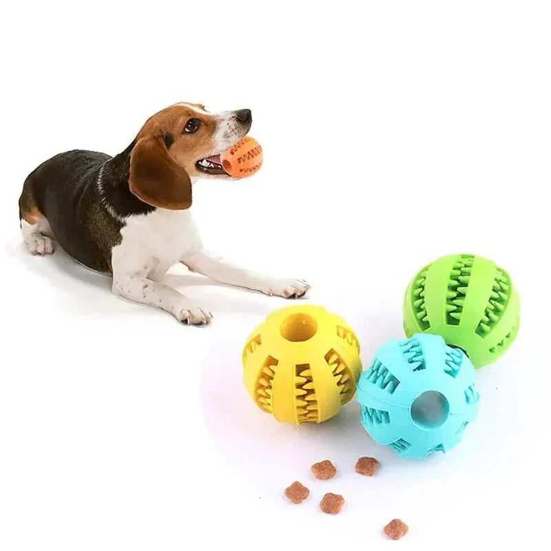 Dog Snack Feeder - Happy Tails