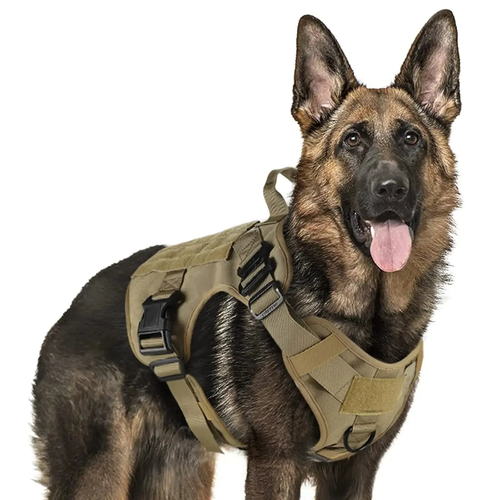 Military Dog Harness for Training - Happy Tails