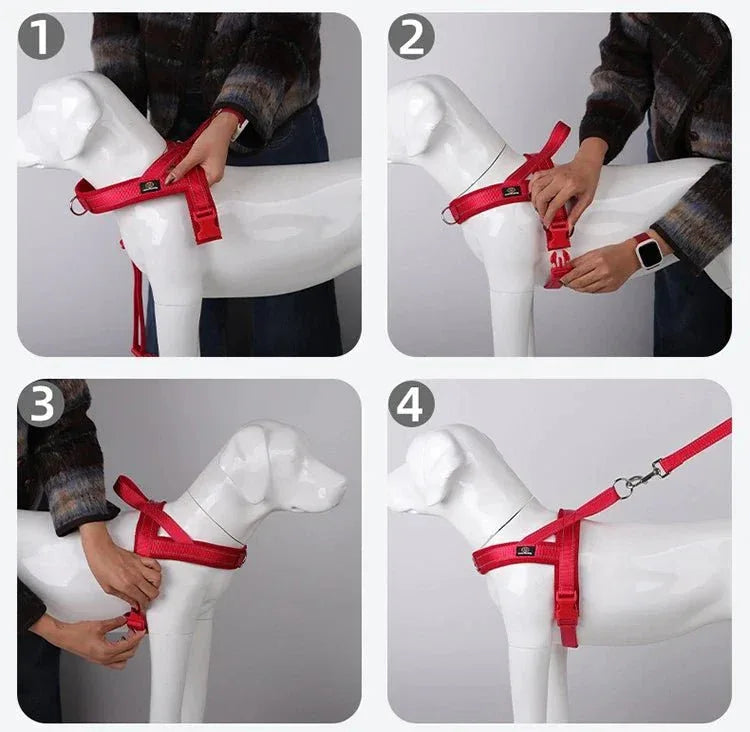 A Small Dog Harness for Comfort and Control - Happy Tails - paws & love