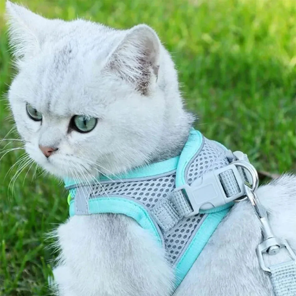 Dog Harness & Collar Set - Happy Tails - paws & love