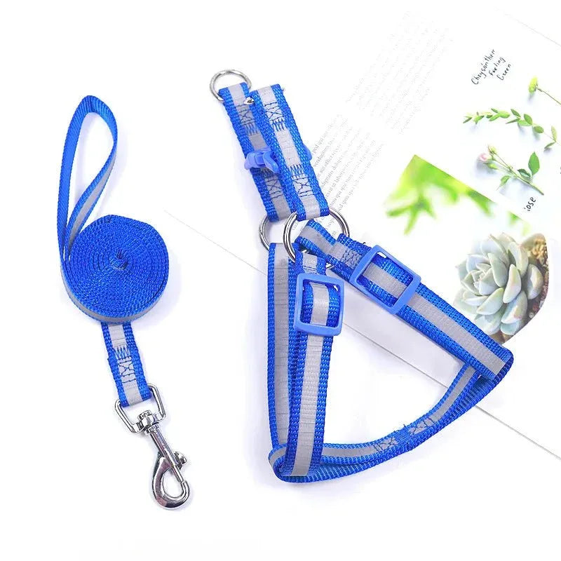 Dog Harness for Small Dogs - Happy Tails