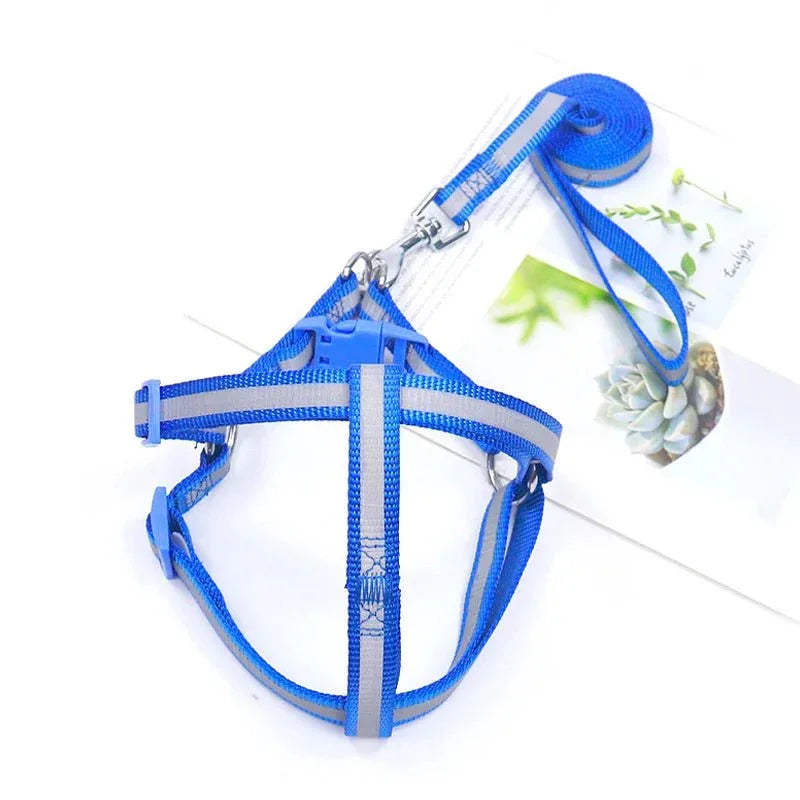 Dog Harness for Small Dogs - Happy Tails
