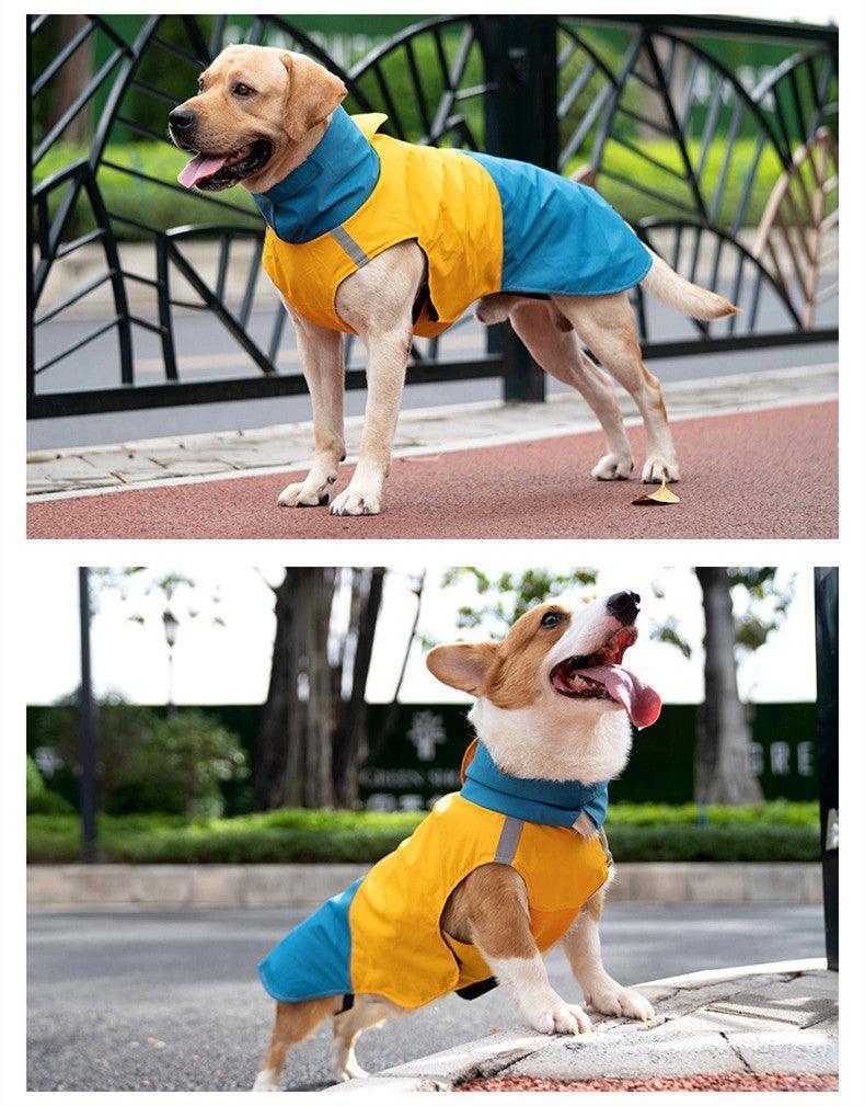 Colorblock Dog Raincoat - Happy Tails