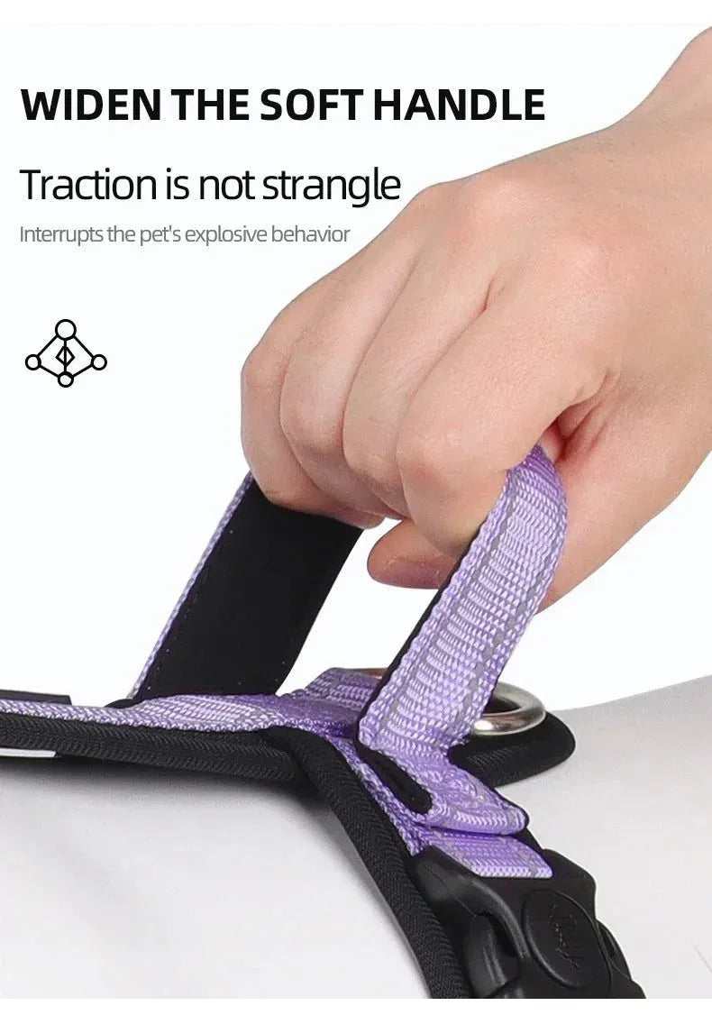 Harnesses and Wear Necklaces - Happy Tails