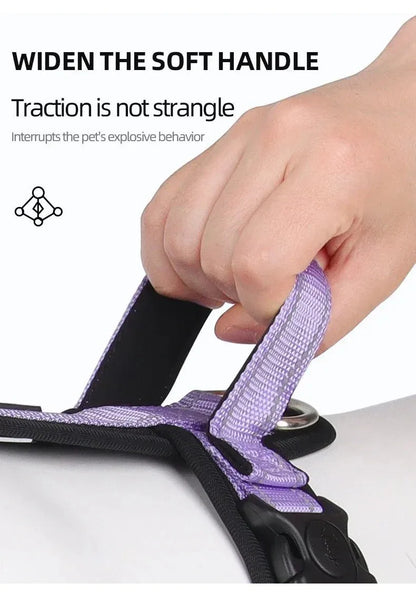 Harnesses and Wear Necklaces - Happy Tails