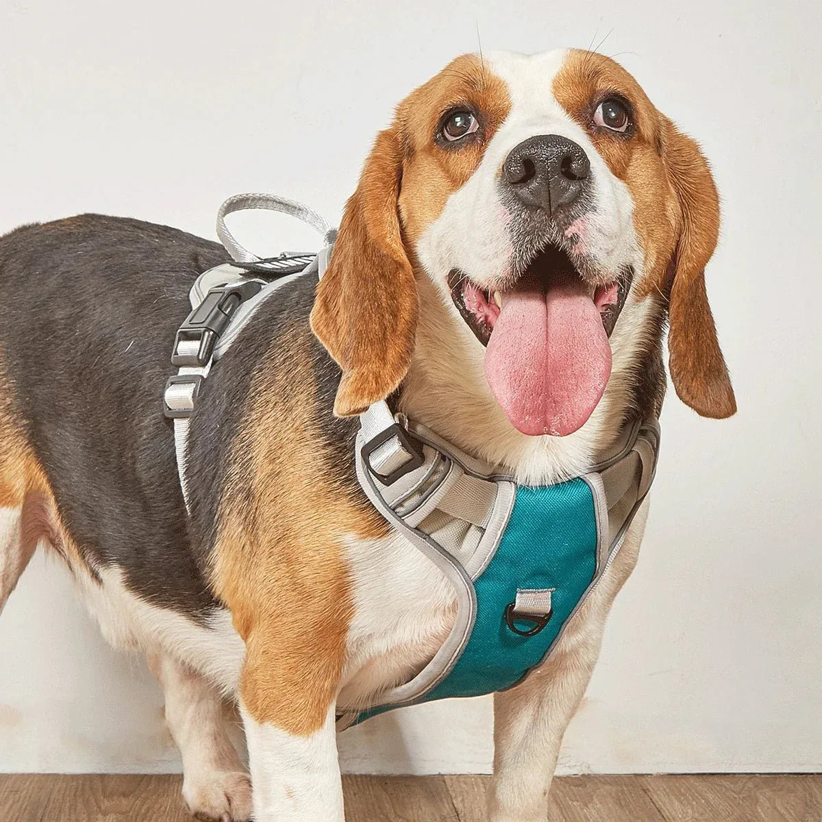 Dog Harness No Pull - Happy Tails