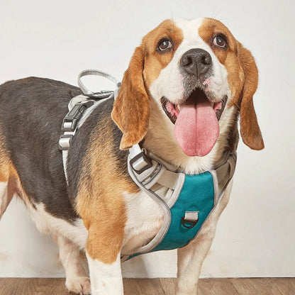 Dog Harness No Pull - Happy Tails