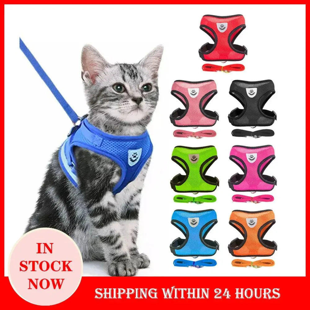 Cat Harness for Outdoor Adventures - Happy Tails - paws & love
