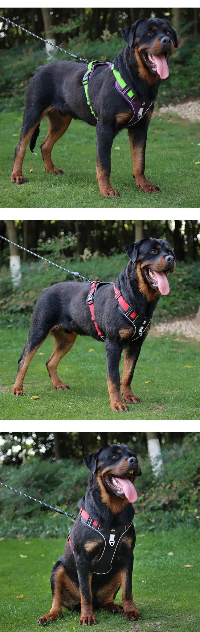 Pet Harness No Pull - Happy Tails